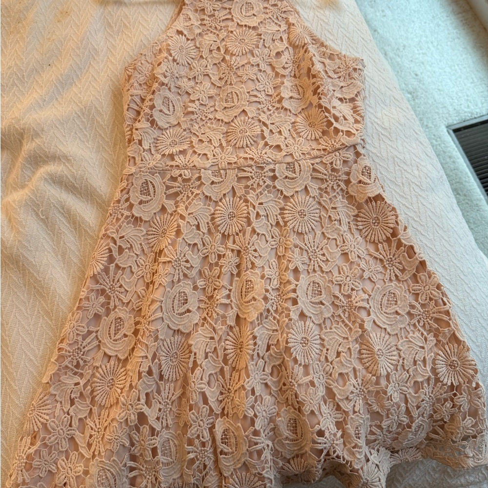 Lulu's Blush Floral Lace Dress